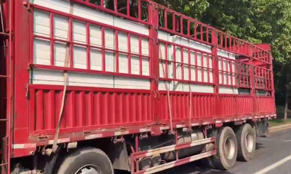 旭東PVC圍擋批發(fā)直供龍崗工地，2500米圍擋當(dāng)天閃電送達(dá)